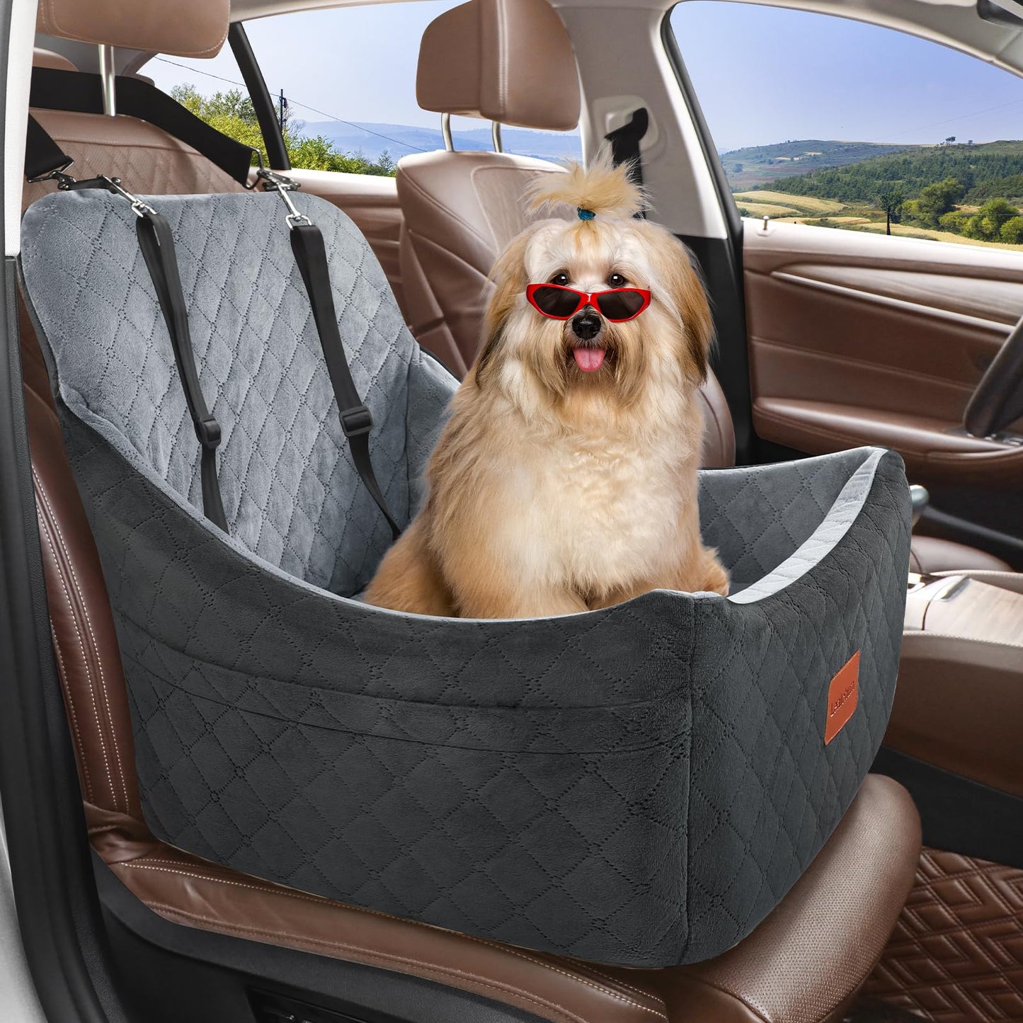 Dog Booster Car Seat,Pet Car Seat Easy to Install,Car Dog Bed with Anti Slip Bottom,Fully Detachable and Washable Dog Travel Car Bed,Snug Puppy Car Seat (Black/Coffee, Medium)